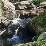 Anno - Wohlfuehlen Am Bachal In Altschoenau Neuschönau