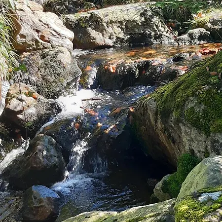 Anno - Wohlfuehlen Am Bachal In Altschoenau Neuschönau