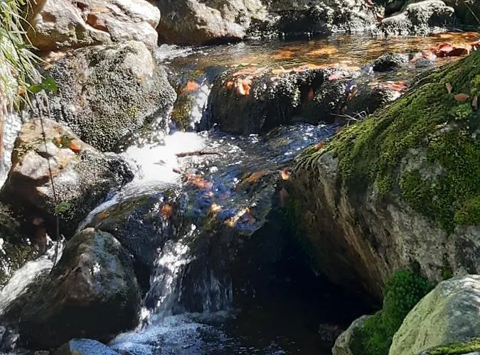 Anno - Wohlfuehlen Am Bachal In Altschoenau Neuschönau